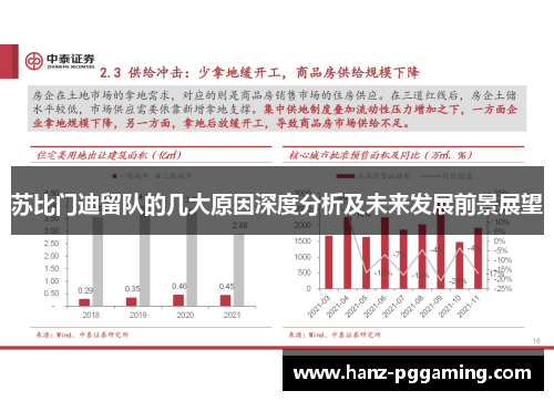 苏比门迪留队的几大原因深度分析及未来发展前景展望