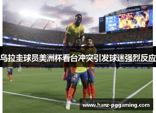 乌拉圭球员美洲杯看台冲突引发球迷强烈反应