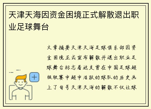 天津天海因资金困境正式解散退出职业足球舞台